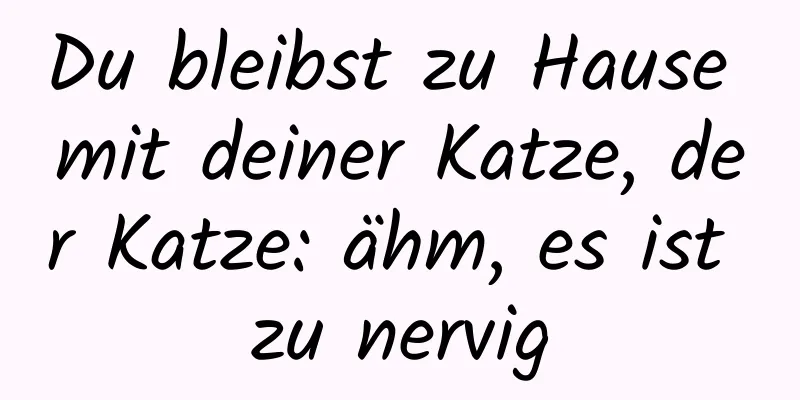 Du bleibst zu Hause mit deiner Katze, der Katze: ähm, es ist zu nervig
