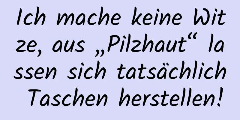 Ich mache keine Witze, aus „Pilzhaut“ lassen sich tatsächlich Taschen herstellen!