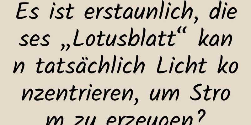 Es ist erstaunlich, dieses „Lotusblatt“ kann tatsächlich Licht konzentrieren, um Strom zu erzeugen?
