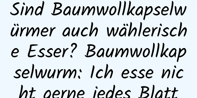 Sind Baumwollkapselwürmer auch wählerische Esser? Baumwollkapselwurm: Ich esse nicht gerne jedes Blatt