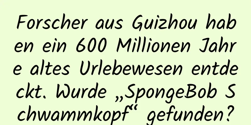 Forscher aus Guizhou haben ein 600 Millionen Jahre altes Urlebewesen entdeckt. Wurde „SpongeBob Schwammkopf“ gefunden?
