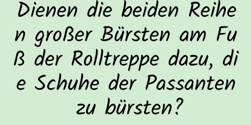 Dienen die beiden Reihen großer Bürsten am Fuß der Rolltreppe dazu, die Schuhe der Passanten zu bürsten?