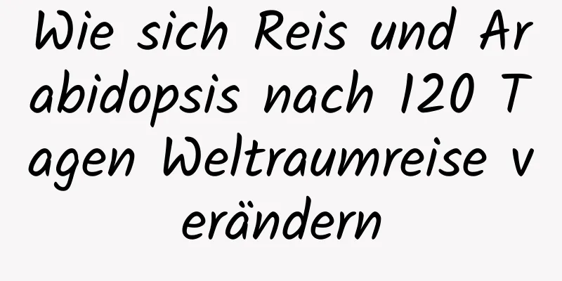 Wie sich Reis und Arabidopsis nach 120 Tagen Weltraumreise verändern