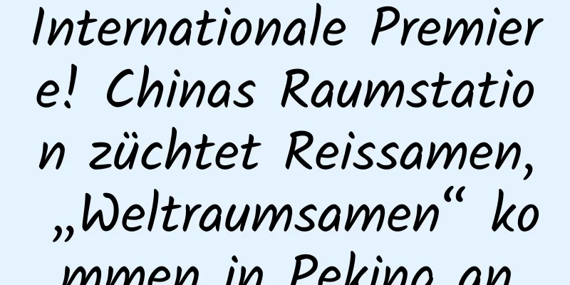 Internationale Premiere! Chinas Raumstation züchtet Reissamen, „Weltraumsamen“ kommen in Peking an