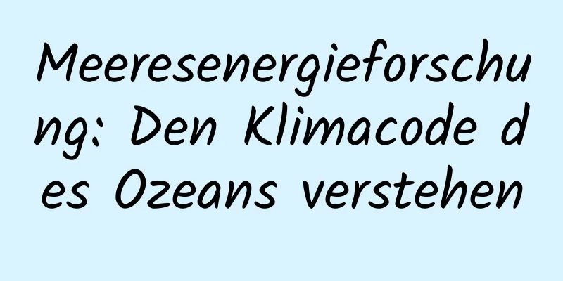Meeresenergieforschung: Den Klimacode des Ozeans verstehen