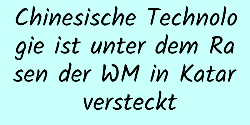 Chinesische Technologie ist unter dem Rasen der WM in Katar versteckt