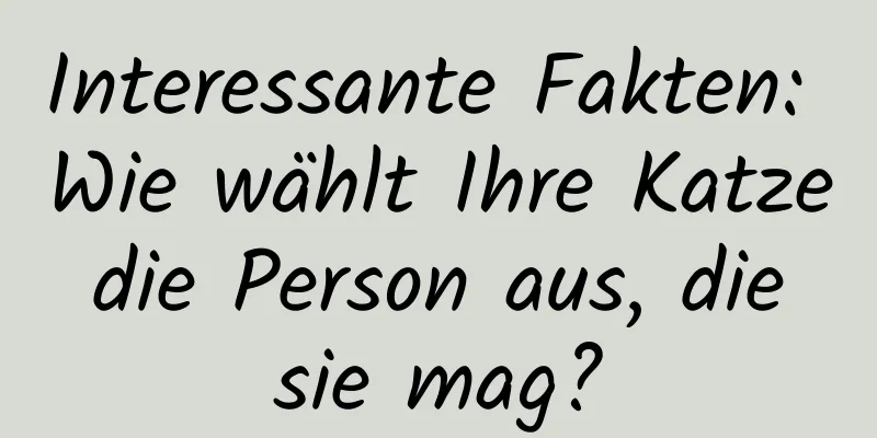 Interessante Fakten: Wie wählt Ihre Katze die Person aus, die sie mag?