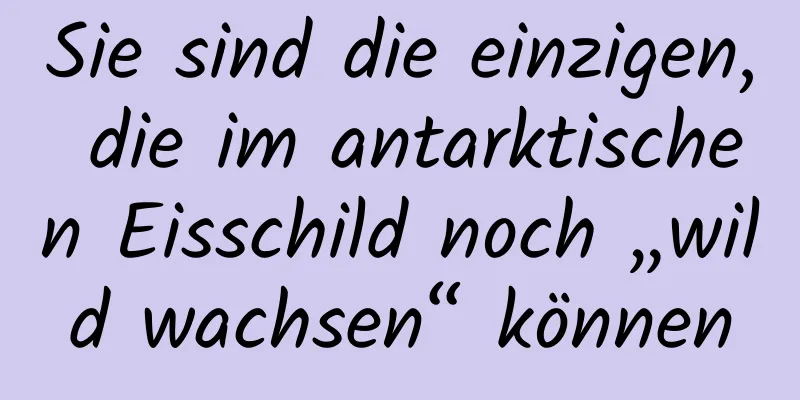 Sie sind die einzigen, die im antarktischen Eisschild noch „wild wachsen“ können