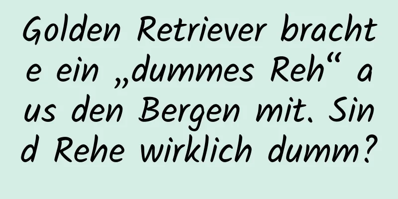 Golden Retriever brachte ein „dummes Reh“ aus den Bergen mit. Sind Rehe wirklich dumm?