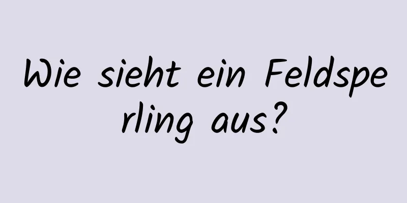 Wie sieht ein Feldsperling aus?