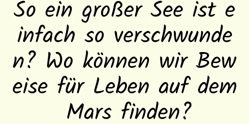 So ein großer See ist einfach so verschwunden? Wo können wir Beweise für Leben auf dem Mars finden?
