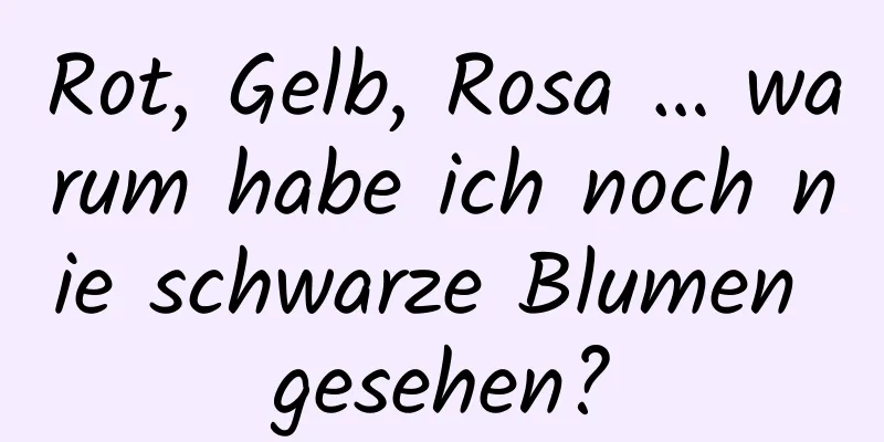 Rot, Gelb, Rosa … warum habe ich noch nie schwarze Blumen gesehen?