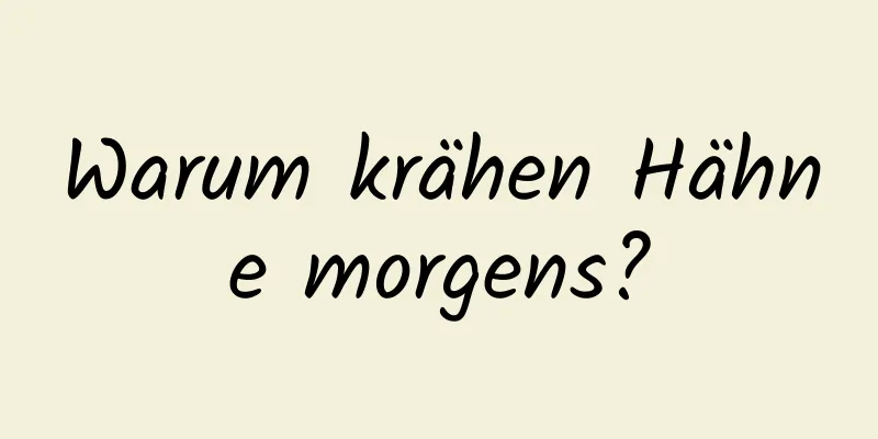Warum krähen Hähne morgens?