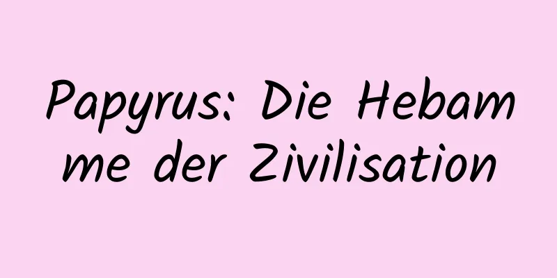 Papyrus: Die Hebamme der Zivilisation