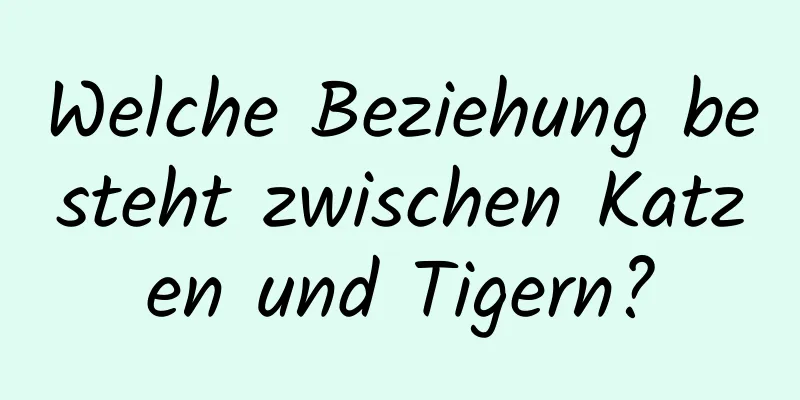 Welche Beziehung besteht zwischen Katzen und Tigern?