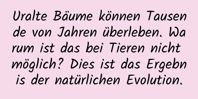 Uralte Bäume können Tausende von Jahren überleben. Warum ist das bei Tieren nicht möglich? Dies ist das Ergebnis der natürlichen Evolution.
