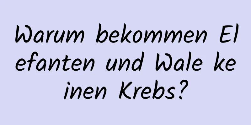 Warum bekommen Elefanten und Wale keinen Krebs?