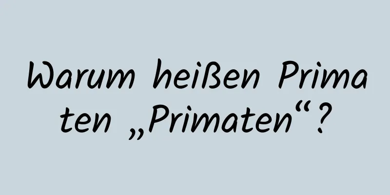 Warum heißen Primaten „Primaten“?