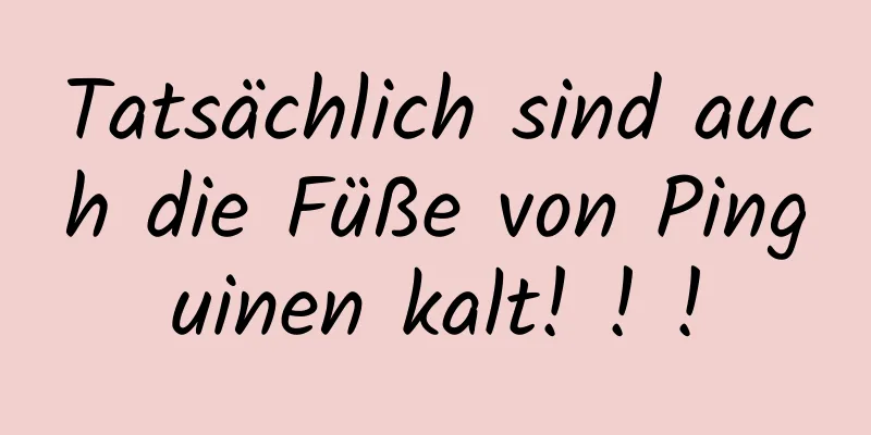Tatsächlich sind auch die Füße von Pinguinen kalt! ! !