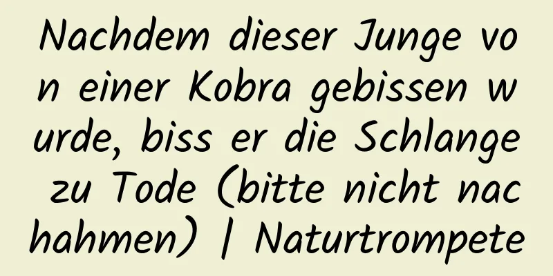 Nachdem dieser Junge von einer Kobra gebissen wurde, biss er die Schlange zu Tode (bitte nicht nachahmen) | Naturtrompete