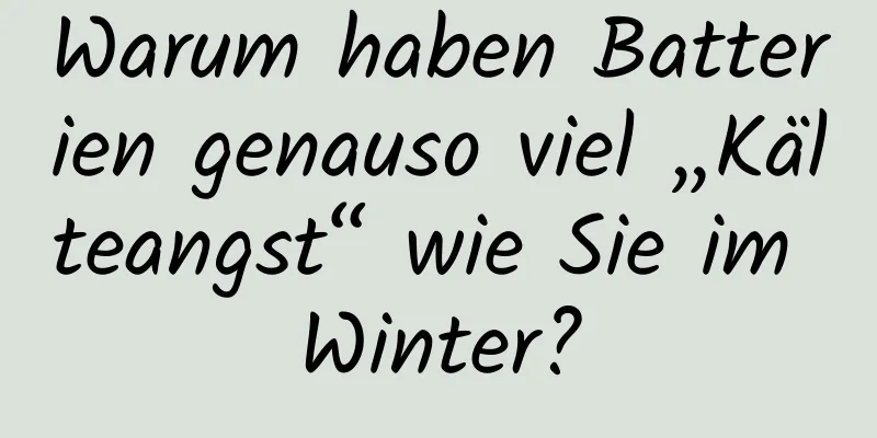 Warum haben Batterien genauso viel „Kälteangst“ wie Sie im Winter?