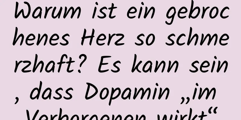 Warum ist ein gebrochenes Herz so schmerzhaft? Es kann sein, dass Dopamin „im Verborgenen wirkt“