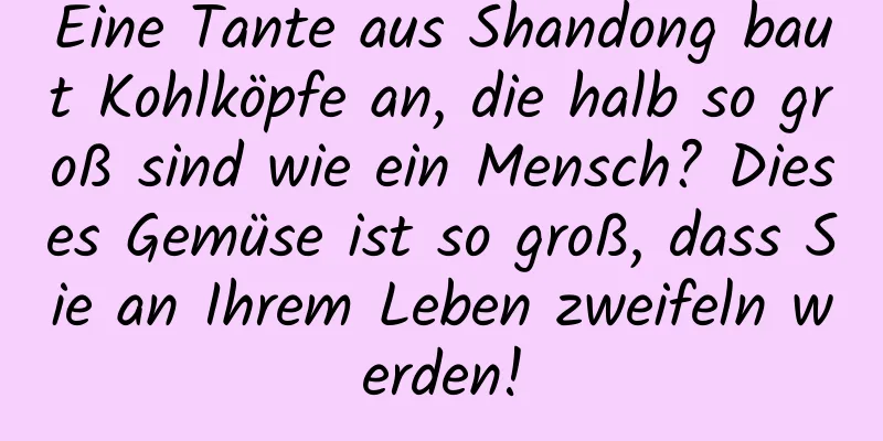 Eine Tante aus Shandong baut Kohlköpfe an, die halb so groß sind wie ein Mensch? Dieses Gemüse ist so groß, dass Sie an Ihrem Leben zweifeln werden!