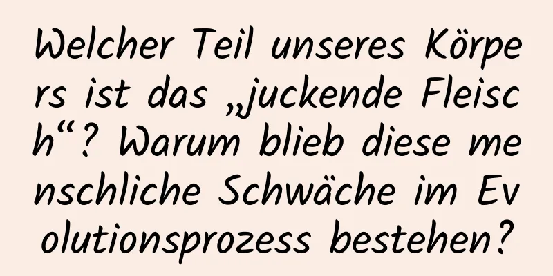 Welcher Teil unseres Körpers ist das „juckende Fleisch“? Warum blieb diese menschliche Schwäche im Evolutionsprozess bestehen?