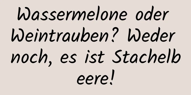 Wassermelone oder Weintrauben? Weder noch, es ist Stachelbeere!