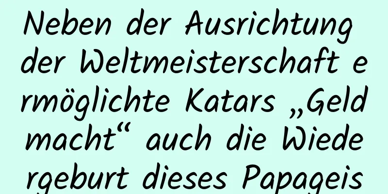 Neben der Ausrichtung der Weltmeisterschaft ermöglichte Katars „Geldmacht“ auch die Wiedergeburt dieses Papageis