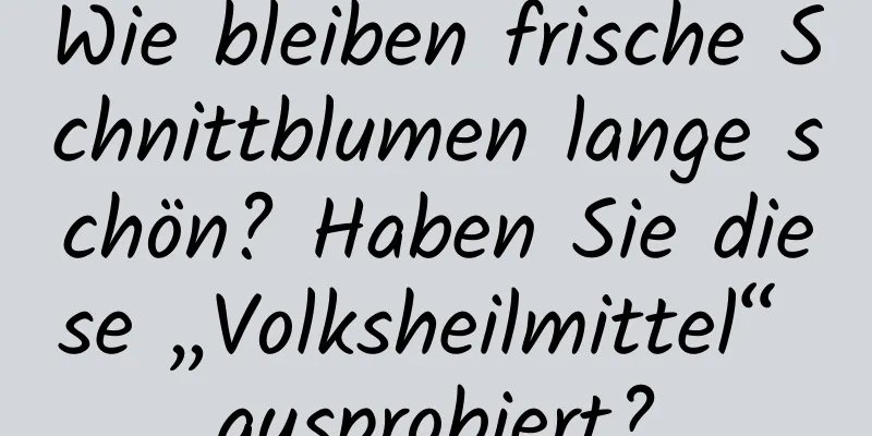 Wie bleiben frische Schnittblumen lange schön? Haben Sie diese „Volksheilmittel“ ausprobiert?