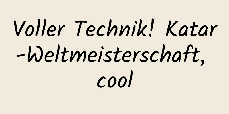 Voller Technik! Katar-Weltmeisterschaft, cool
