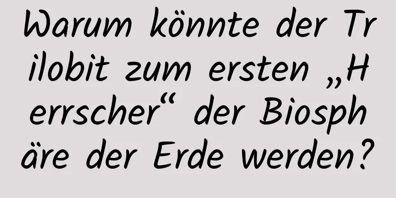 Warum könnte der Trilobit zum ersten „Herrscher“ der Biosphäre der Erde werden?