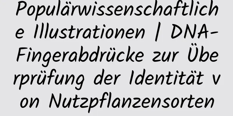 Populärwissenschaftliche Illustrationen | DNA-Fingerabdrücke zur Überprüfung der Identität von Nutzpflanzensorten