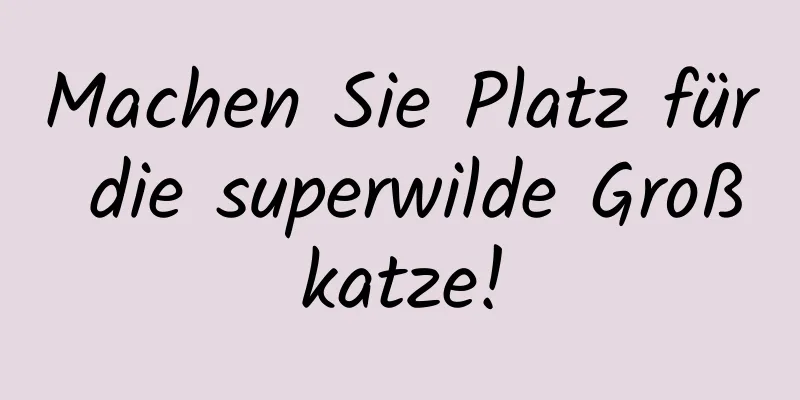 Machen Sie Platz für die superwilde Großkatze!