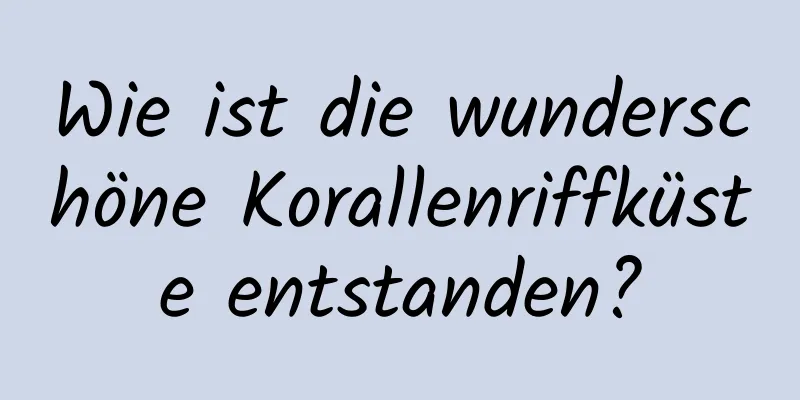 Wie ist die wunderschöne Korallenriffküste entstanden?