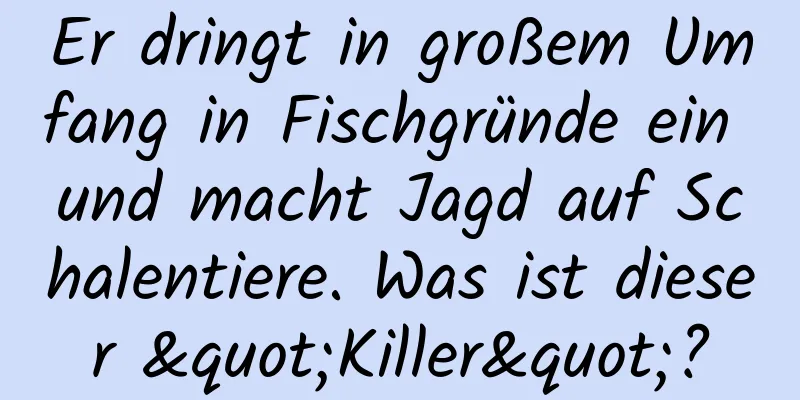 Er dringt in großem Umfang in Fischgründe ein und macht Jagd auf Schalentiere. Was ist dieser "Killer"?