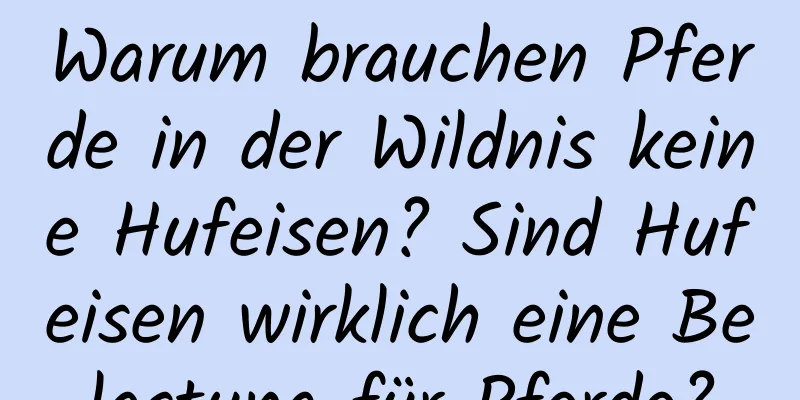 Warum brauchen Pferde in der Wildnis keine Hufeisen? Sind Hufeisen wirklich eine Belastung für Pferde?