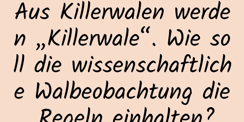 Aus Killerwalen werden „Killerwale“. Wie soll die wissenschaftliche Walbeobachtung die Regeln einhalten?