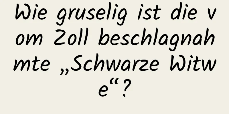 Wie gruselig ist die vom Zoll beschlagnahmte „Schwarze Witwe“?
