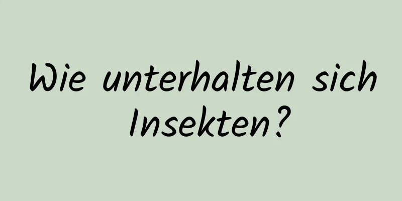 Wie unterhalten sich Insekten?