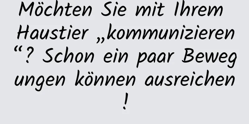 Möchten Sie mit Ihrem Haustier „kommunizieren“? Schon ein paar Bewegungen können ausreichen!