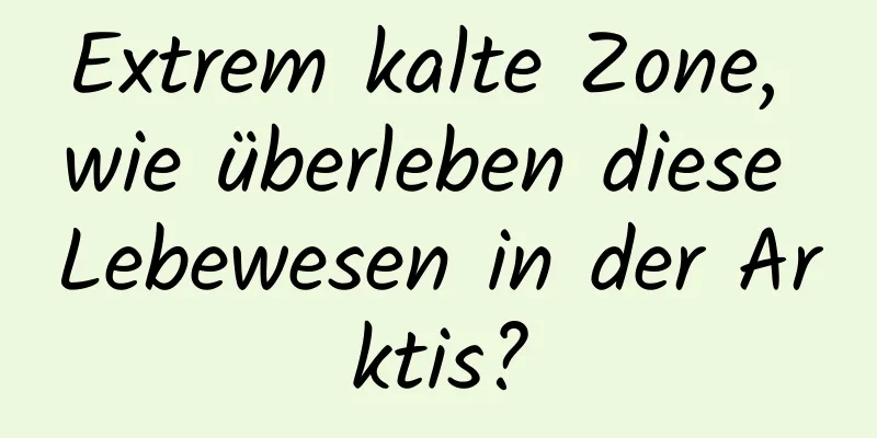 Extrem kalte Zone, wie überleben diese Lebewesen in der Arktis?