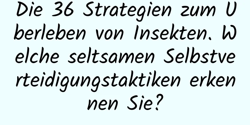 Die 36 Strategien zum Überleben von Insekten. Welche seltsamen Selbstverteidigungstaktiken erkennen Sie?