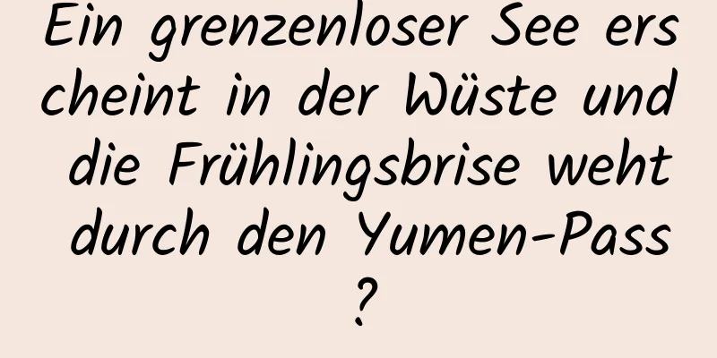 Ein grenzenloser See erscheint in der Wüste und die Frühlingsbrise weht durch den Yumen-Pass?