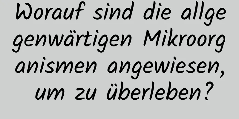 Worauf sind die allgegenwärtigen Mikroorganismen angewiesen, um zu überleben?