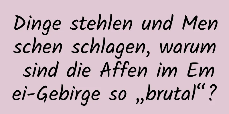 Dinge stehlen und Menschen schlagen, warum sind die Affen im Emei-Gebirge so „brutal“?
