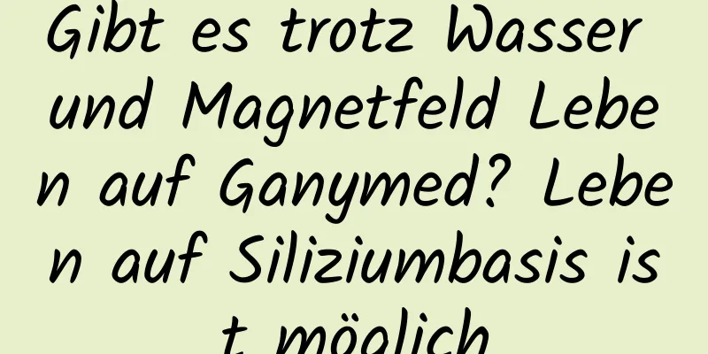 Gibt es trotz Wasser und Magnetfeld Leben auf Ganymed? Leben auf Siliziumbasis ist möglich