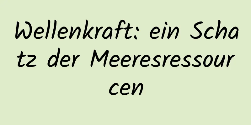 Wellenkraft: ein Schatz der Meeresressourcen