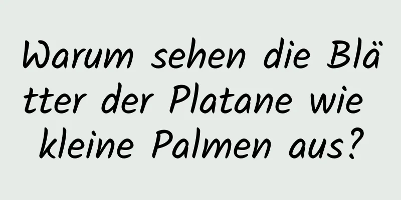 Warum sehen die Blätter der Platane wie kleine Palmen aus?